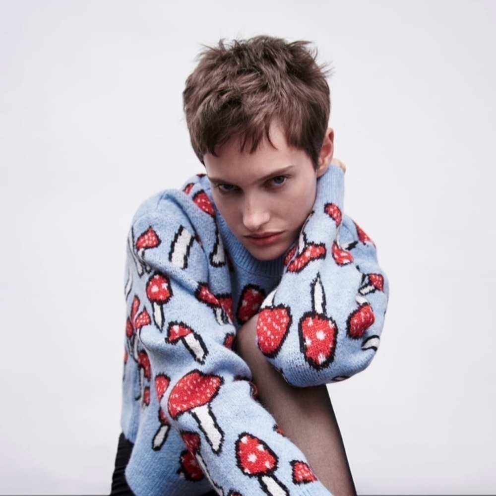 Zara Blogger's Favorite Knit Mushroom Long Sleeve Crew Neck Novelty Sweater - Picture 6 of 16